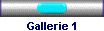 Gallerie 1